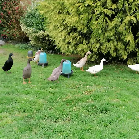 La Petite Boulangerie, D'hotes Independante 住宿加早餐酒店 3*