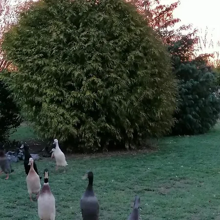 Bed and breakfast La Petite Boulangerie, D'hotes Independante 3*