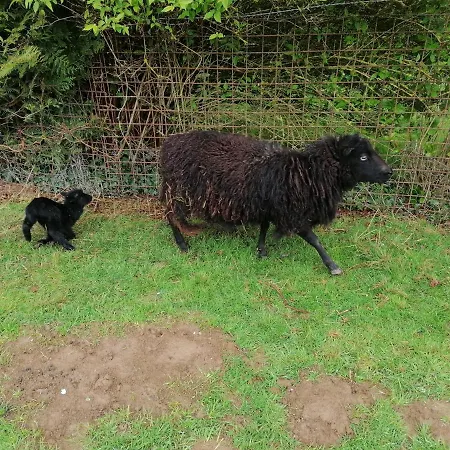 Bed and breakfast La Petite Boulangerie, D'hotes Independante