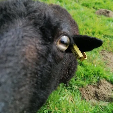 La Petite Boulangerie, D'hotes Independante