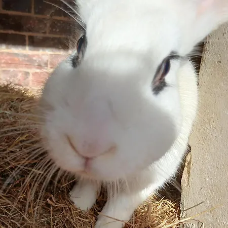 La Petite Boulangerie, D'hotes Independante Bed and breakfast Vaubadon