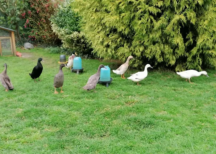 La Petite Boulangerie, D'hotes Independante Bed & Breakfast 3*