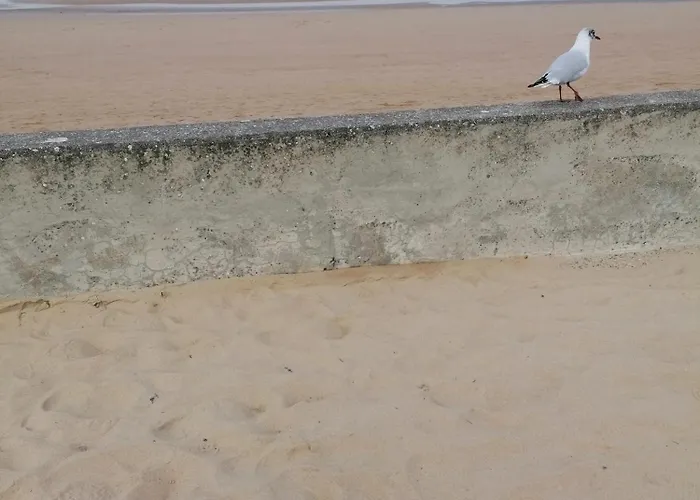 La Petite Boulangerie, D'hotes Independante 3*