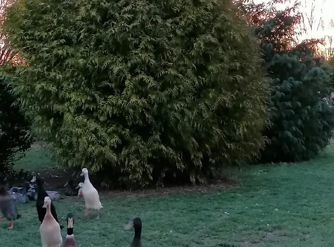 Bed and breakfast La Petite Boulangerie, D'hotes Independante 3*