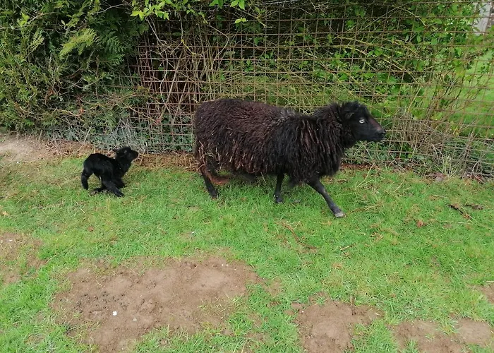 Bed & Breakfast La Petite Boulangerie, D'hotes Independante