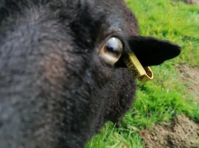 La Petite Boulangerie, D'hotes Independante