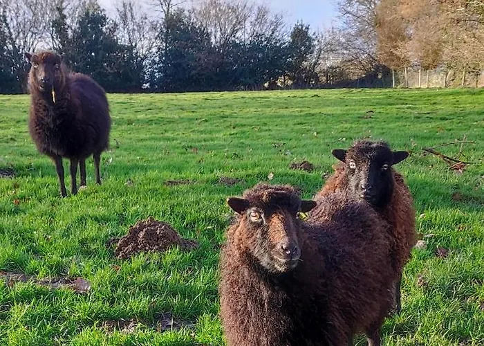 Bed and breakfast La Petite Boulangerie, D'hotes Independante 3*