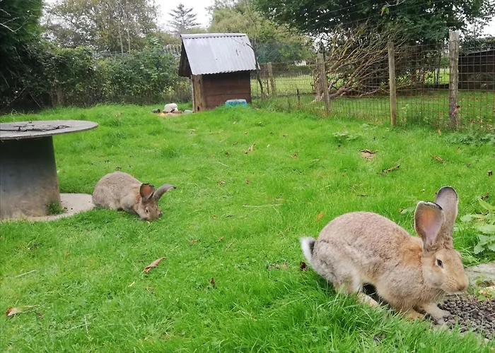 La Petite Boulangerie, D'hotes Independante Bed and breakfast Vaubadon