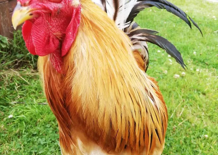 La Petite Boulangerie, D'hotes Independante Bed and breakfast 3*