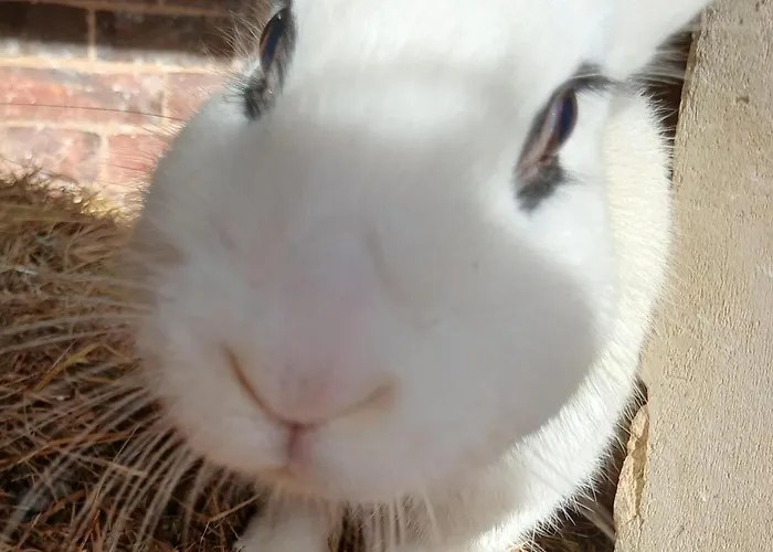 La Petite Boulangerie, D'hotes Independante Bed and breakfast Vaubadon